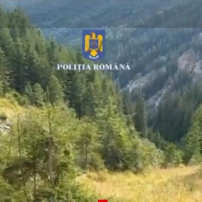 Noi detalii în cazul tragediei din Făgăraș: Tânărul care a supraviețuit a aşteptat ore în şir lângă prietenii săi fără viaţă
