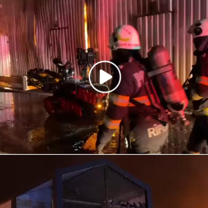 Incendiu uriaș la Dragonul Roșu. Au ars aproape 4.000 mp