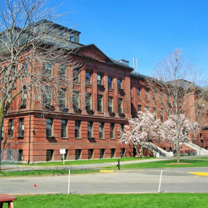 Harvard: cercetarea în privința reîntineririi celulare, aproape de consumatorul final