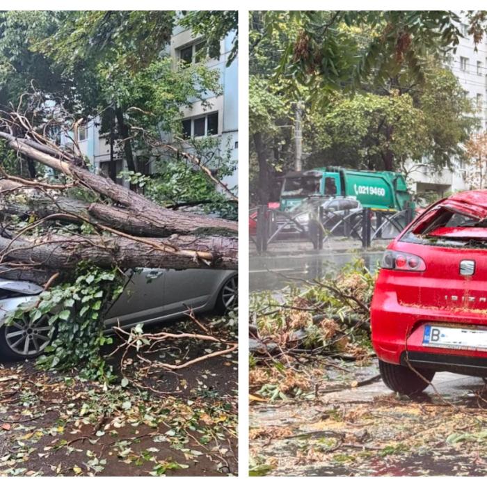 Vreme extremă în România. Zeci de copaci prăbușiți peste mașini 