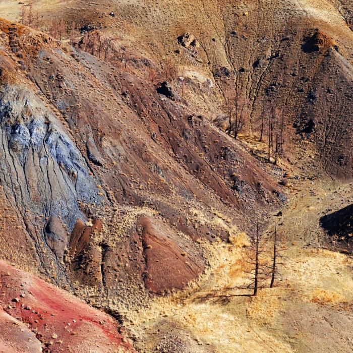 Marea problemă economică a Germaniei: Milioane de locuri de muncă depind de pământurile rare din China