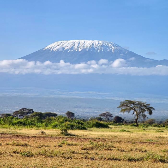 O româncă a cucerit Kilimanjaro pe cel mai dificil traseu: „Dacă eu am reușit, oricine poate, doar să-și dorească” - VIDEO