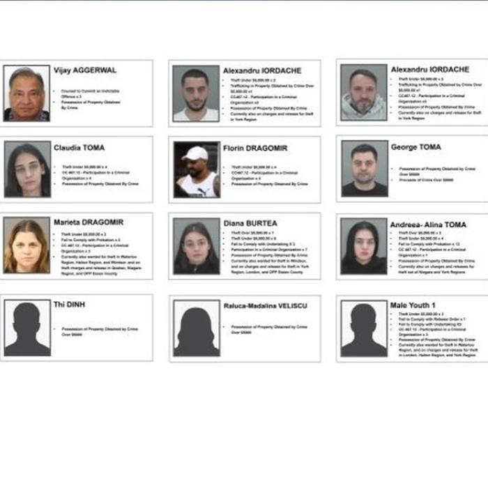 O bandă de hoți români a speriat Canada. Au furat marfă din magazine de peste un milion de dolari 