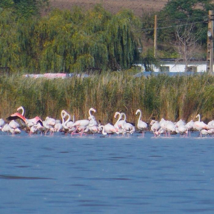 O româncă și un italian descriu o poveste de succes în turism în Delta Dunării