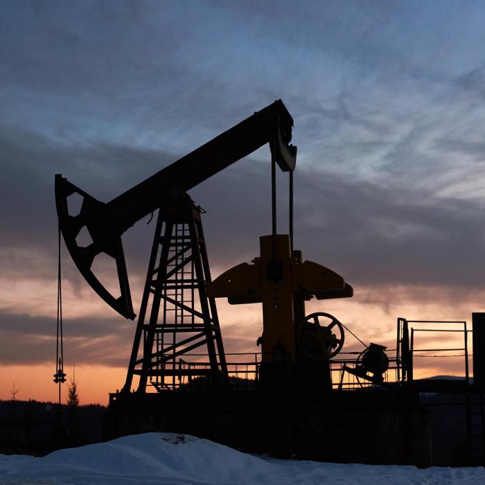Emiratele Arabe Unite ies din OPEC