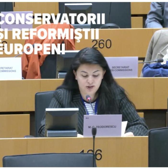 Georgiana Teodorescu, europarlamentar ECR: Securitatea spațiului Schengen se decide pe Flancul Estic 