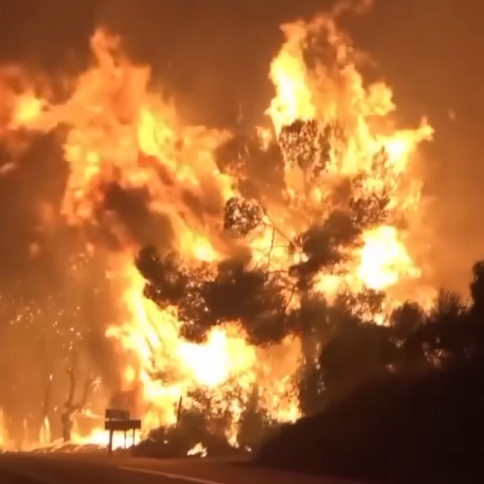 Incendii devastatoare în Franța: Apel către românii din Gironde și din localitățile aflate în apropiere de Bordeaux