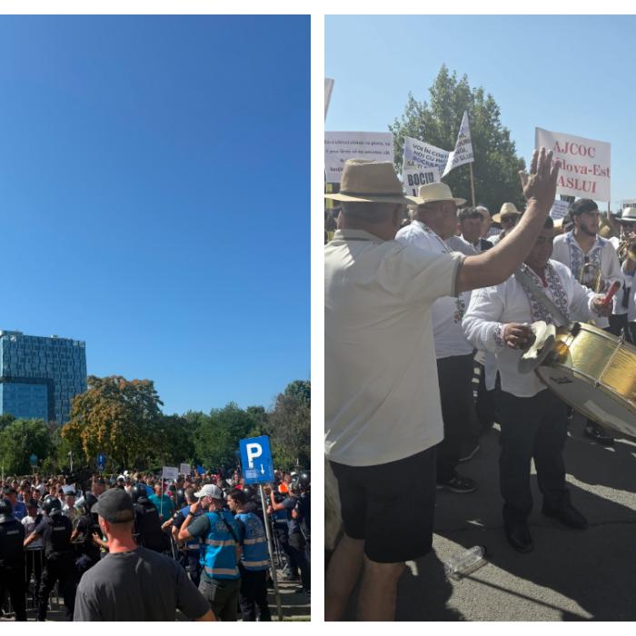 Mii de ciobani protestează la ANSVSA și la Guvern. Îmbrânceli cu jandarmii și gaze lacrimogene 