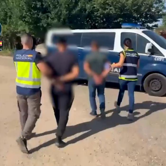 Bătăi, amenzi pentru oboseală și salarii de 20 de euro pe săptămână - calvarul unor români în Spania, plecați la cules de usturoi