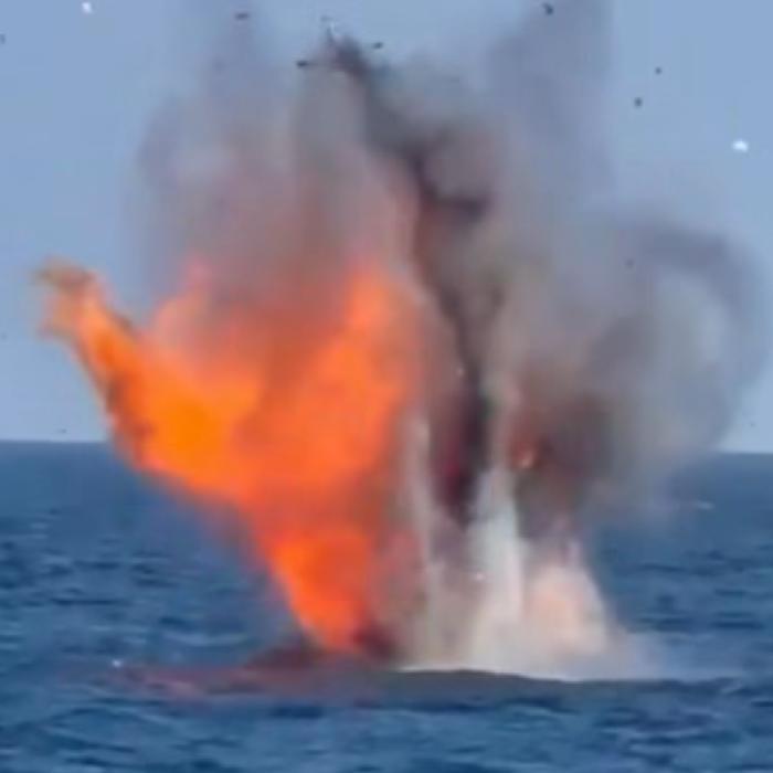  Armata Română a distrus două drone UAV în zona Neptun Deep
