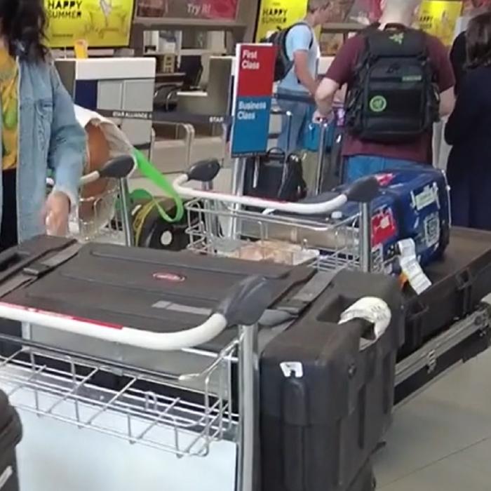 A căzut curentul în aeroportul Otopeni. Panică printre pasageri: "Au pornit generatoarele la alt terminal, aici nu mergeau" 