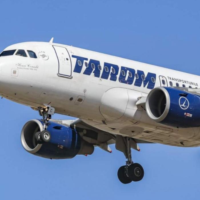Animalele de companie în avion: regulile TAROM și cele mai pet-friendly companii aeriene din Europa