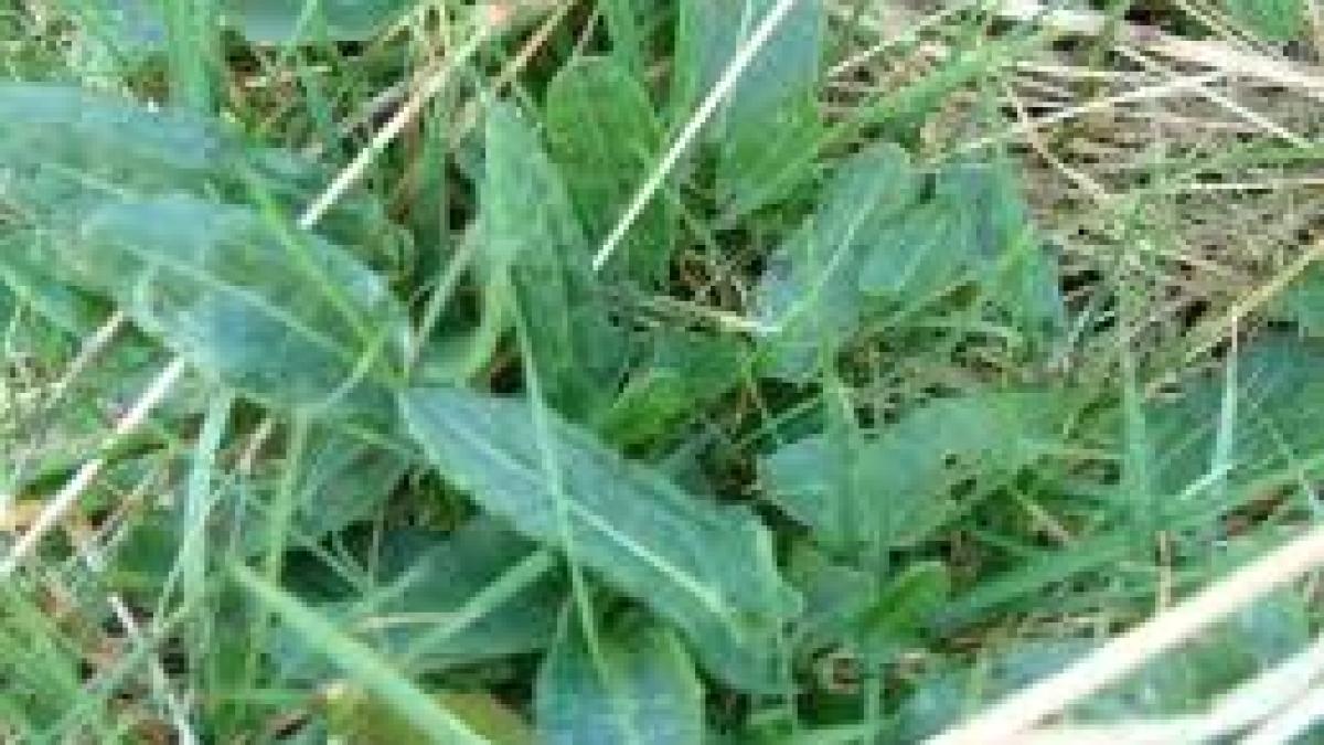 04262013113625macris_1