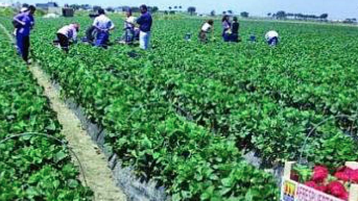 capturaprc-ccprc-86_de_ecran_din_2018_03_22_la_14_49_23