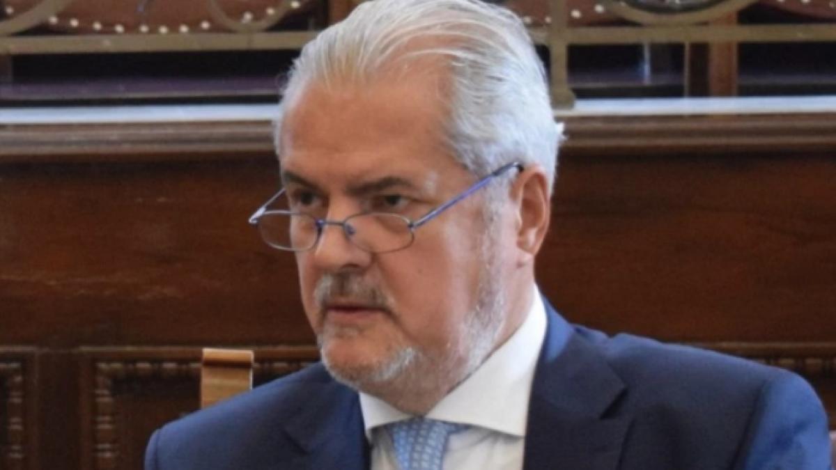 adrian_nastase_10599800