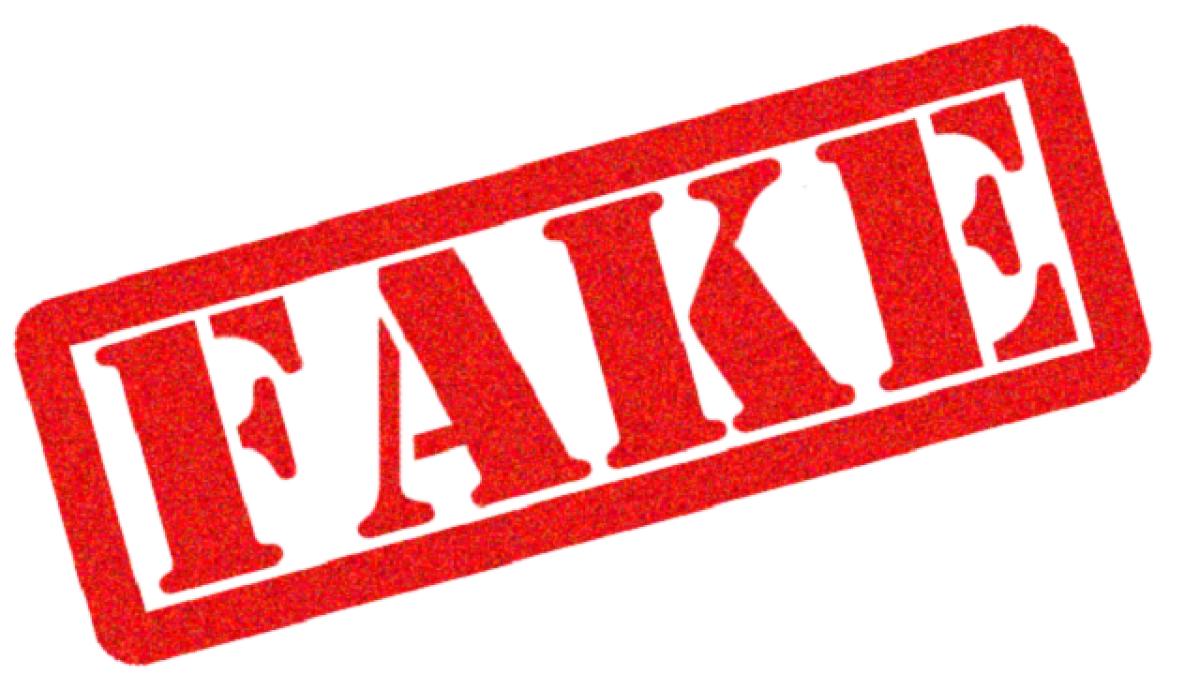 fake