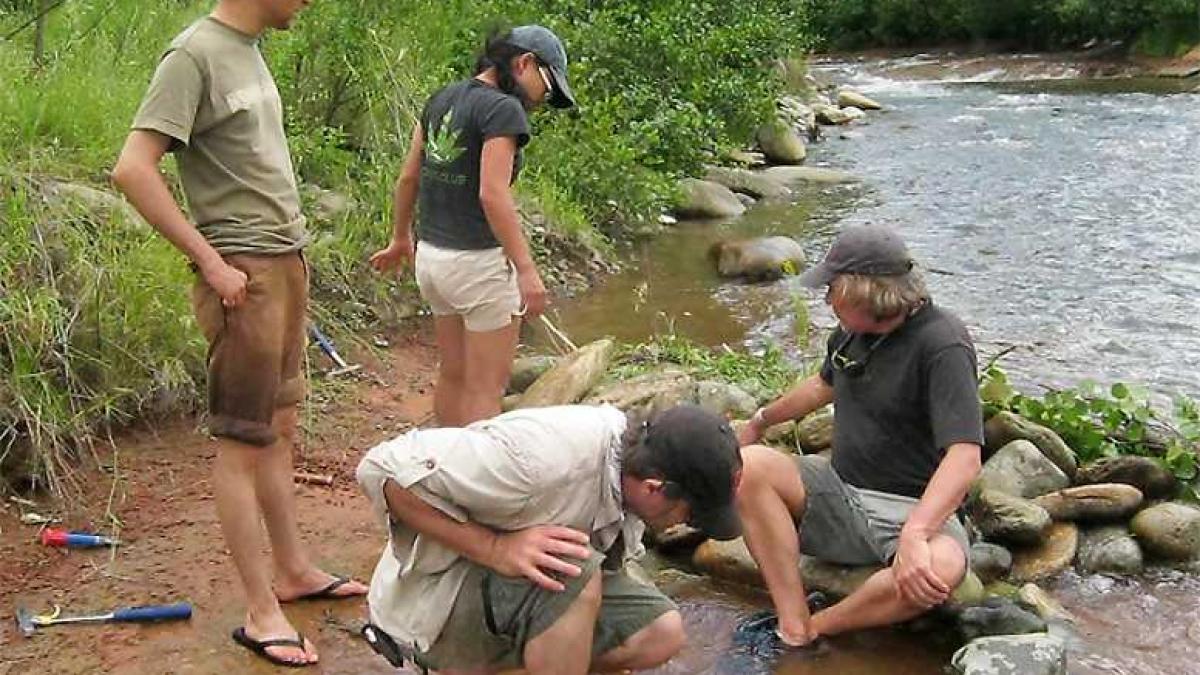 mamifer_descoperit_la_geoparc_univ