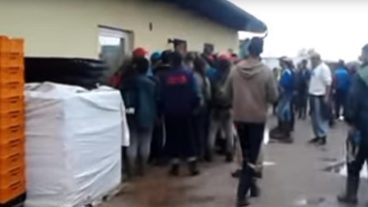 sclavie_germania_bonn