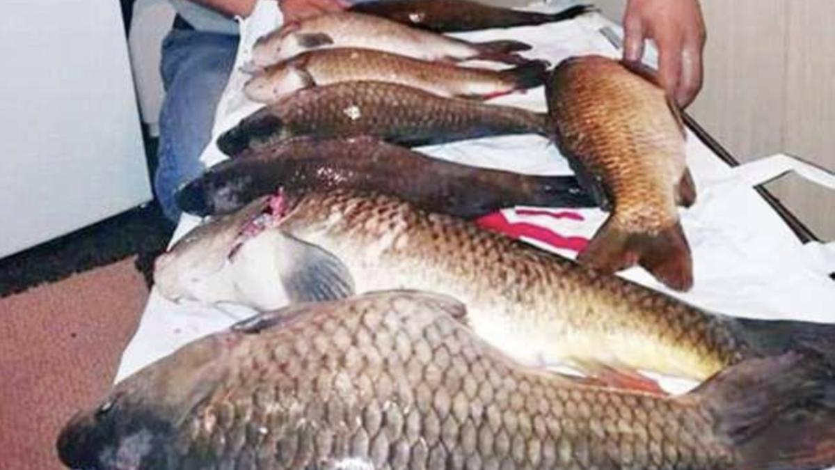 captura_de_ecran_din_2018_06_16_la_12_48_20