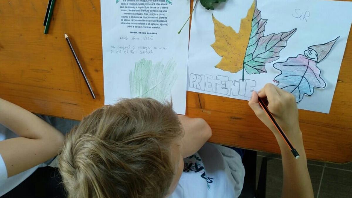 36572654_1955015604543110_3644622519110991872_o