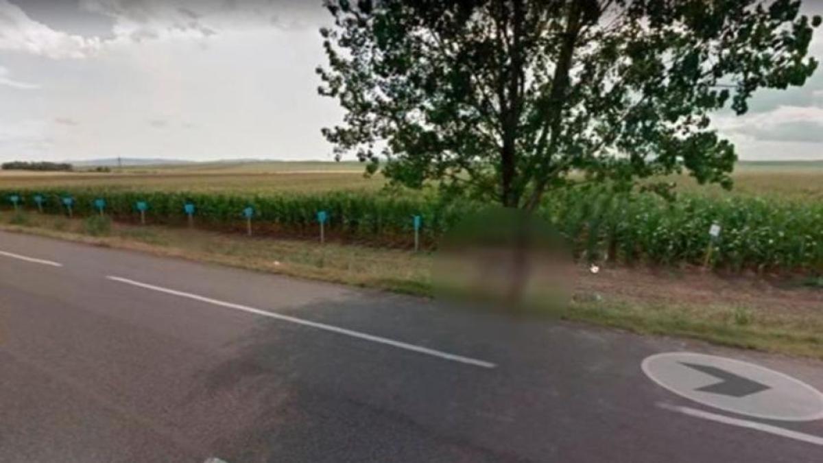 google_maps_1_1_crop1534813037140_jpg_1734428432