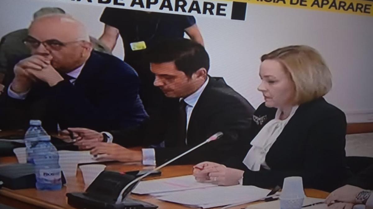 carmen_dan_comisia_aparare