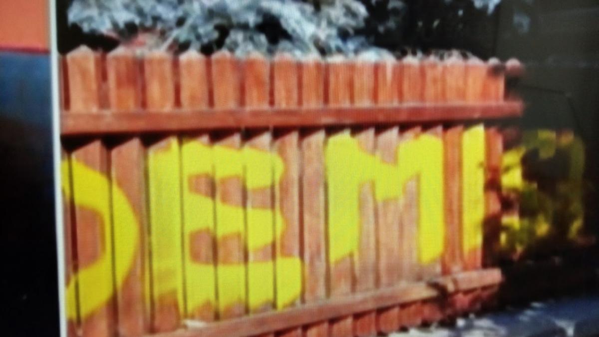 casa_dragnea_vandalizata