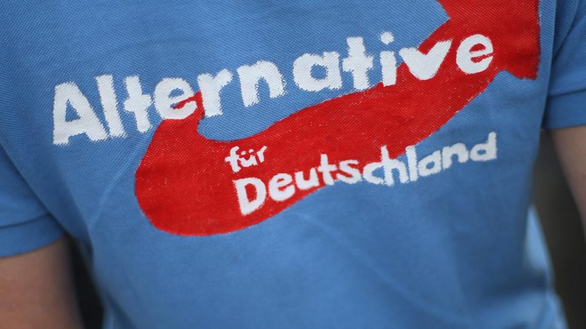 alternativa_pentru_germania
