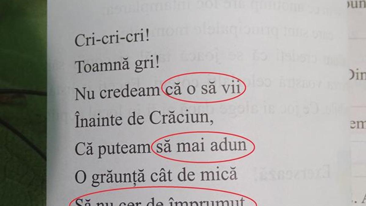 balada_unui_greier_mic