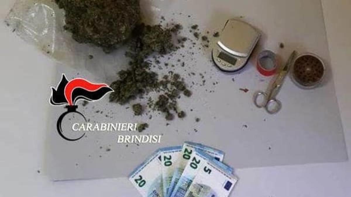 marijuana_roman_brindisireportit