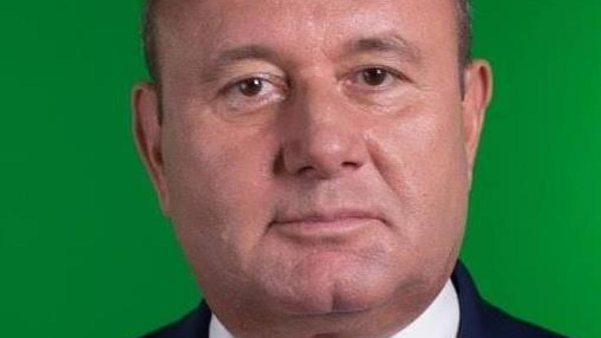 ion_mocioalca_deputat_psd_proromania