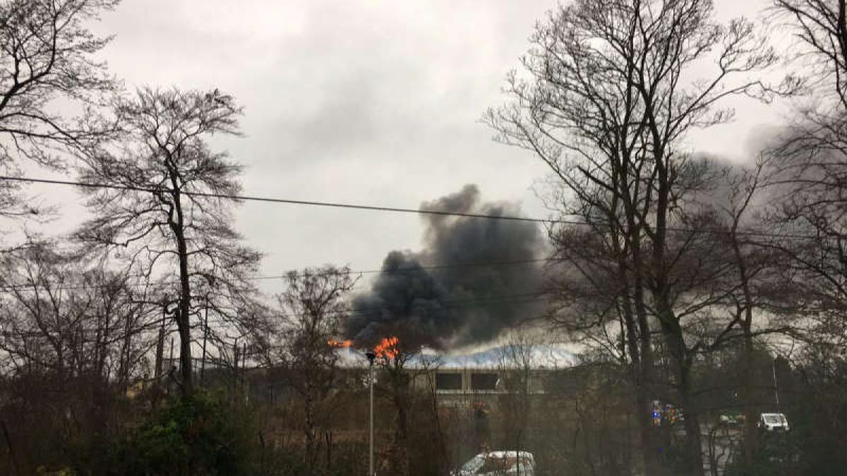 incendiu_gradina_zoologica_uk