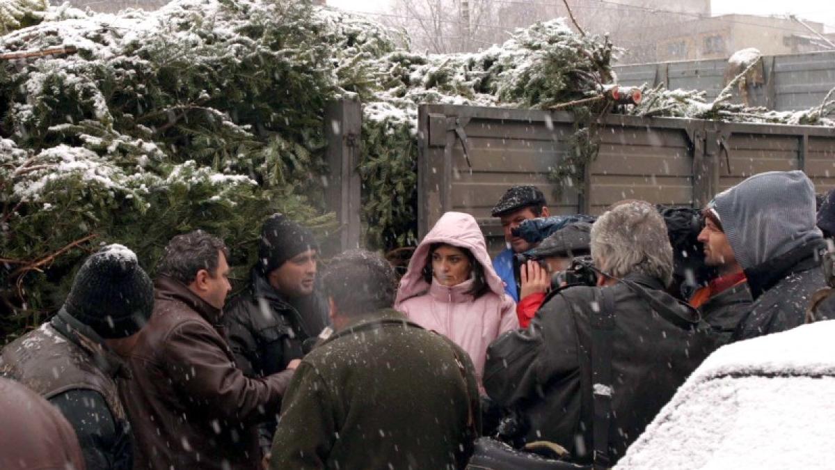 brazi_craciun_contrabanda