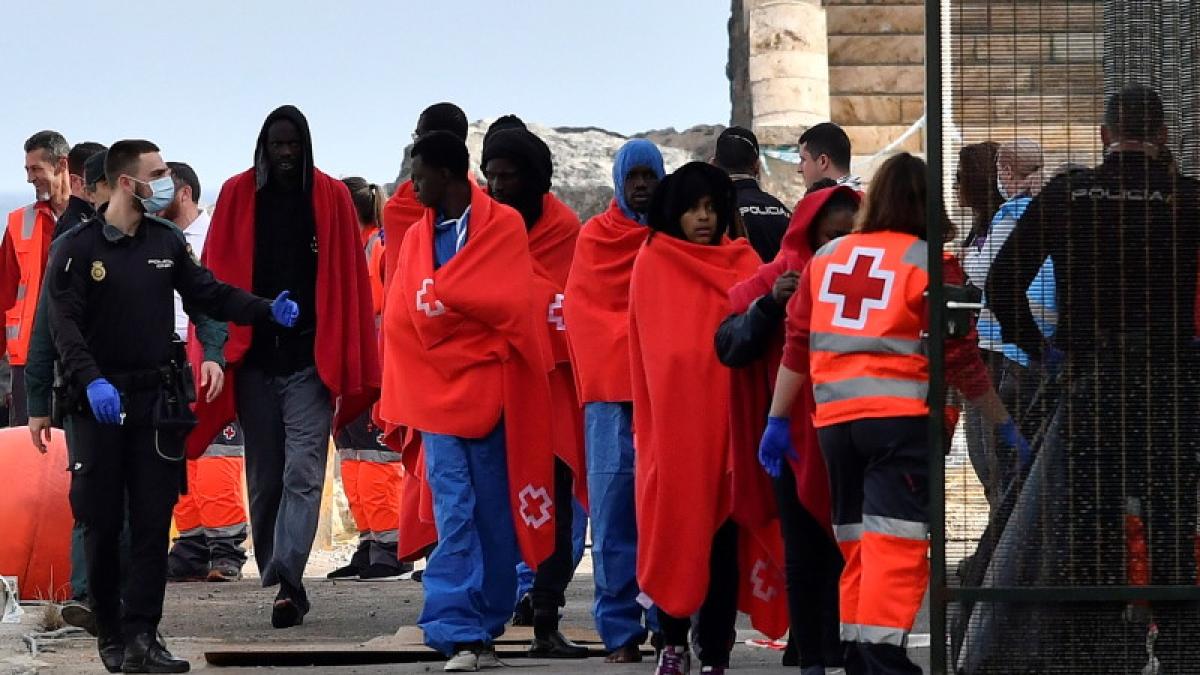 migranti___imigranti