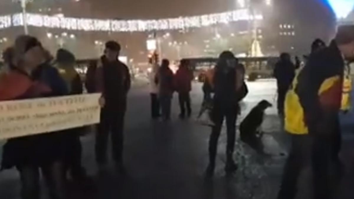 protest_piata_victoriei_29_ianuarie