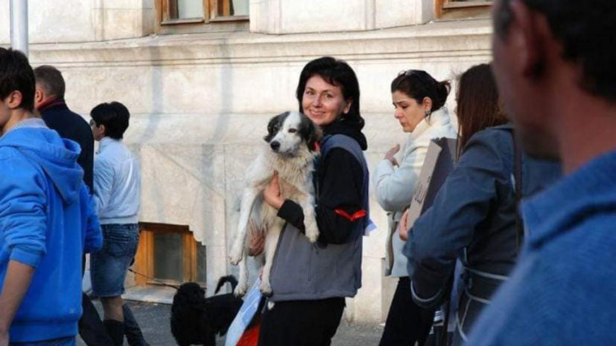 pusa_catel_proteste_galati_1_87298000