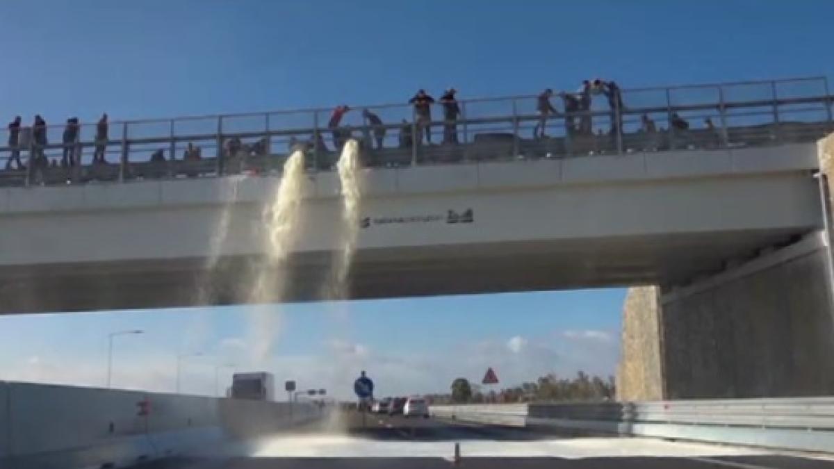 italia_scandal_lapte_romanesc