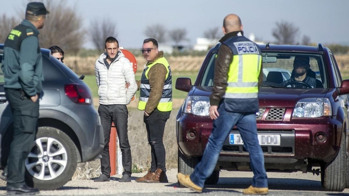 spania_roman_crima_livada_maslini