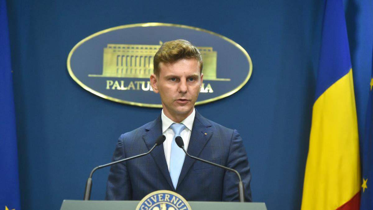 nelu_barbu___guvernul_romaniei