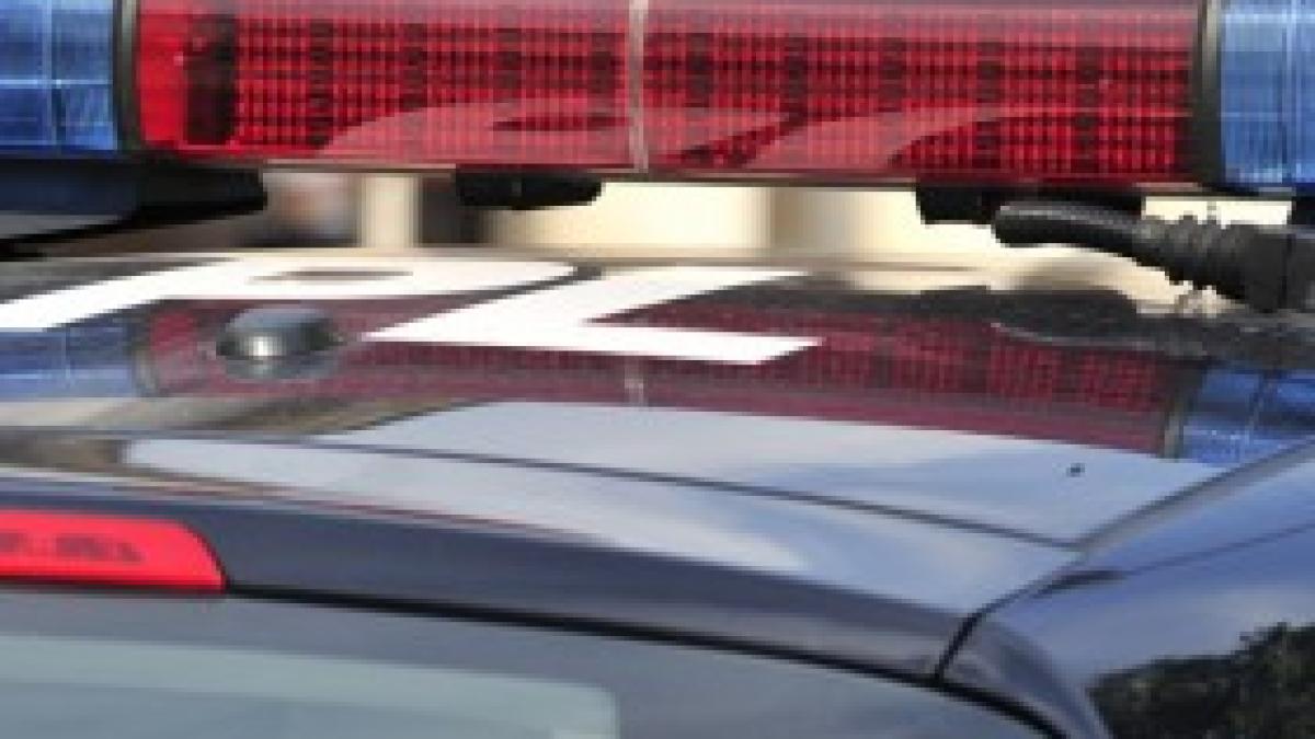 politia_padova_italia