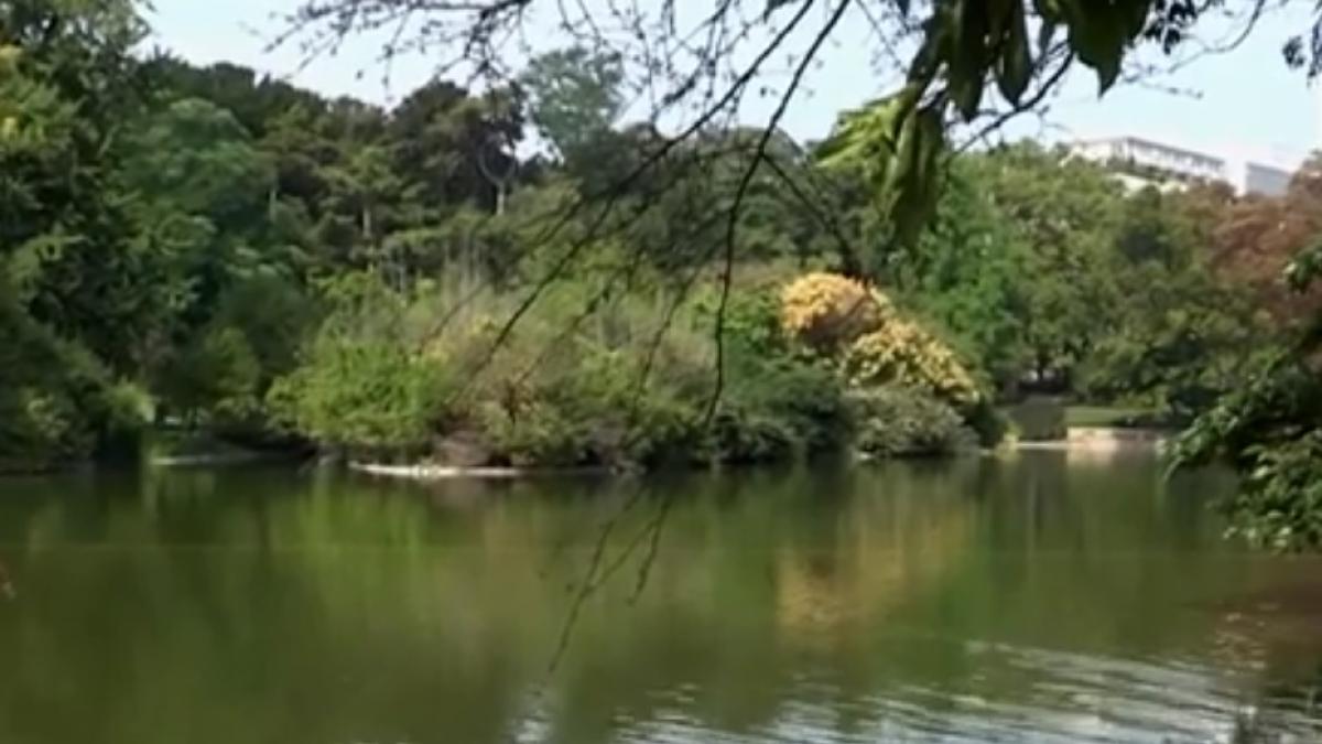 paris_lac_montsouris_gemene_sinucidere