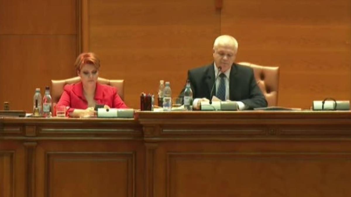 lia_olguta_vasilescu_eugen_nicolicea_parlament_captura_stirileprotv