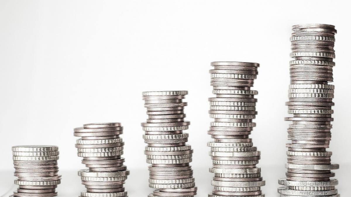 bani_moneda__economie