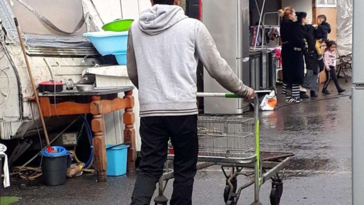 franta_atacuri_rasiste_romani