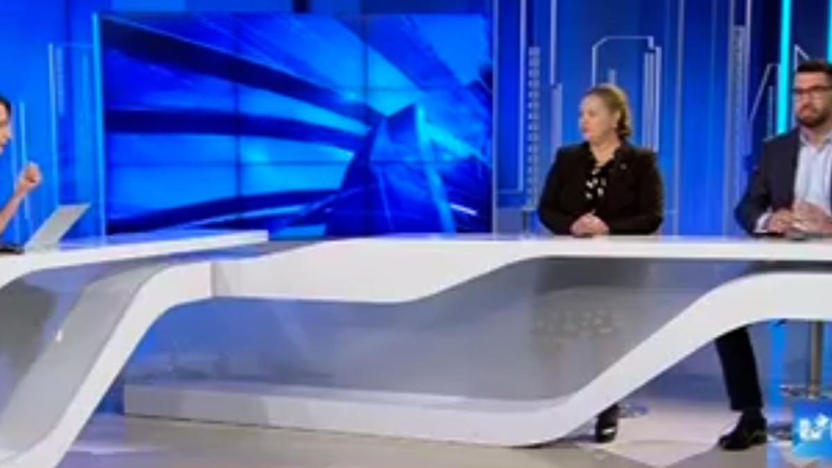 harau_porumbel_scandal_captura