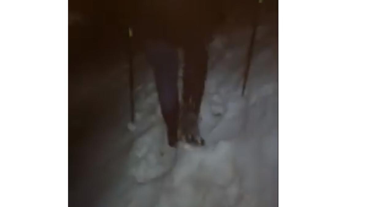 turisti_cehi_salvati