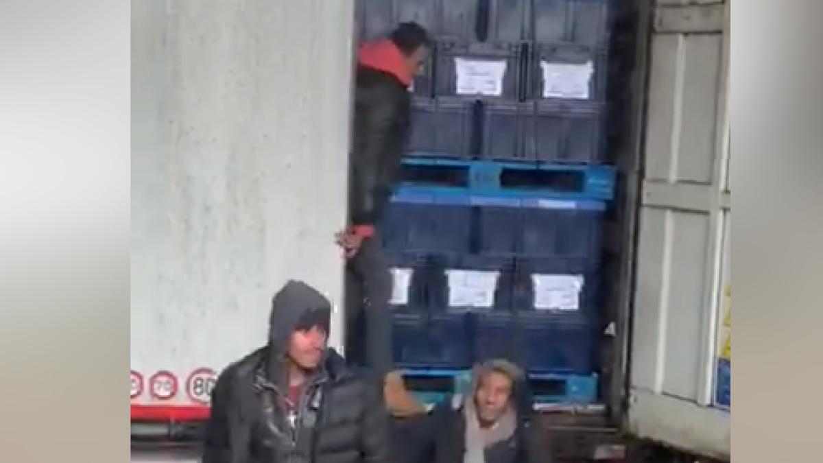 imigranti_marea_britanie_2