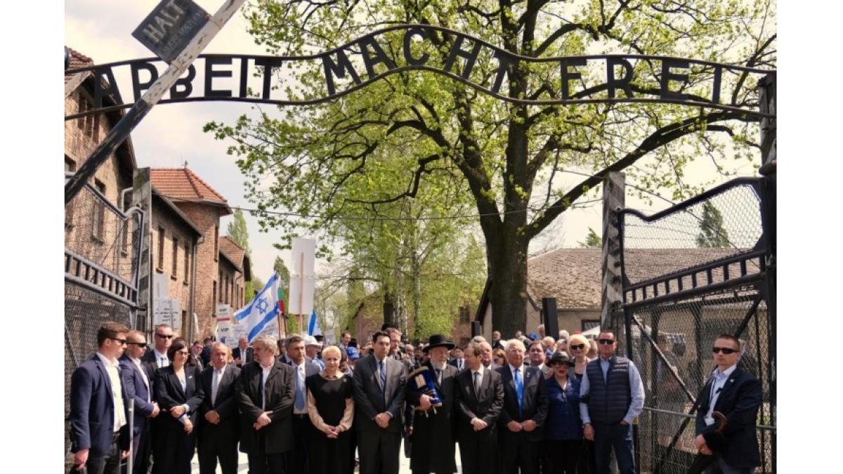 viorica_dancila_marsul_international_al_vietii