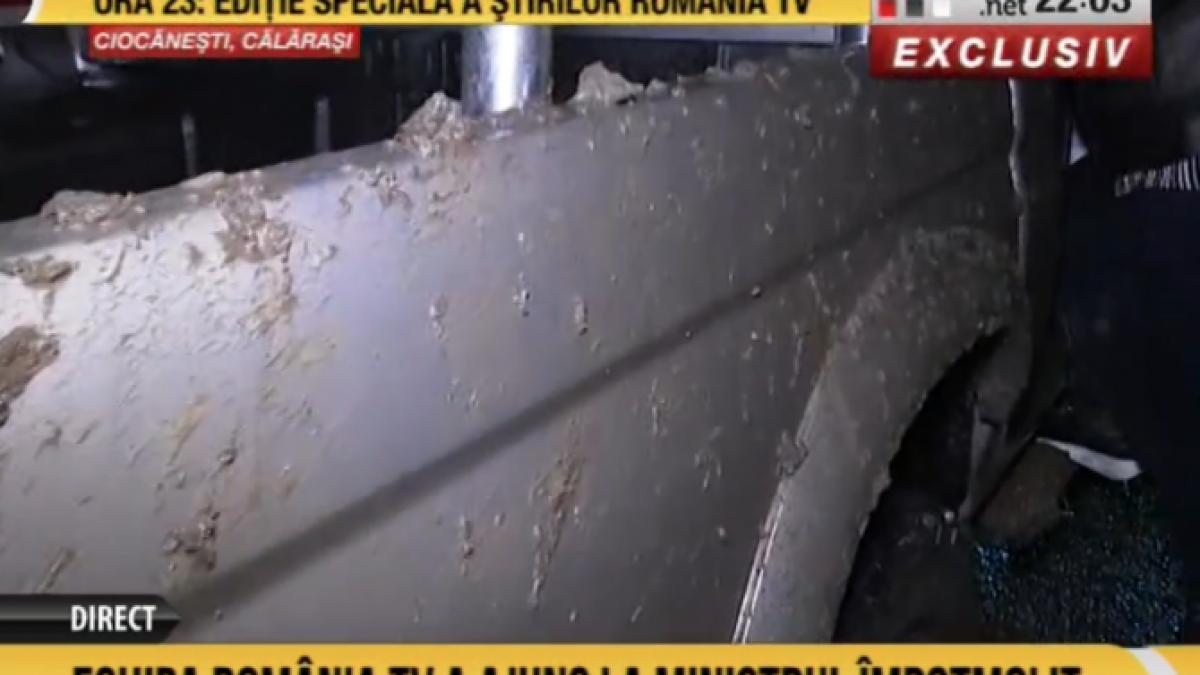 daea_impotmolit_in_noroaie_main