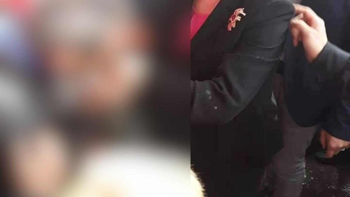 pensionar_gest_dancila_blur